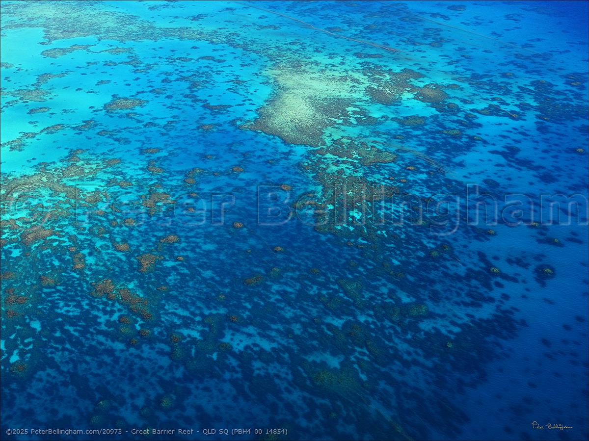Peter Bellingham Photography Great Barrier Reef - QLD SQ (PBH4 00 14854)